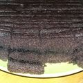 Cooksnap dari Santi Kumala Dewi untuk resep Bronketem/brownies kukus ketan item