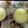 Yoshita Ahuja Kwatra's cooksnap of when they made Raw turmeric milk.