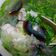 Joy Chen 的 香菜皮蛋魚片湯 cooksnap