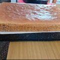 El cooksnap de Nidia Malano cuando hizo Genoise de Chocolate.