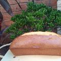 El cooksnap de Agus Bosco cuando hizo 🍊 BUDÍN DE NARANJA🍊.
