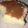 El cooksnap de Manu Nuwek cuando hizo Torta en taza.