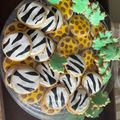El cooksnap de Johanna Carolina Reichberg cuando hizo Galletas vainilla con glaseado.