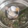 Cooksnap dari Hariyussy untuk resep Kerang kepah kuah sereh bangka