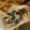 葆兒的素食實驗室's cooksnap of when they made 韭菜水餃.