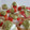 El cooksnap de Marieta cuando hizo Canapés navideños de mozzarella y pimiento.