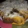 Cooksnap dari puspa untuk resep Bolu zebra magic com