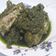 Cooksnap dari Mita Nurfijriastuti untuk resep Gulai ayam lado mudo (cabe ijo) khas Padang