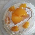 El cooksnap de Graciela Baldo cuando hizo Postre helado tipo balcarce.