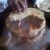 El cooksnap de Mariano Riquel cuando hizo Turrón Salteño.