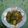Cooksnap dari Tantri Anggraini untuk resep Tumis Pokcoy Daging Giling