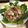 牛小妹爸爸 的 芋頭蒸雞 cooksnap