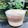 Cooksnap của Lê Hồ khi họ làm theo món Bánh gato flan