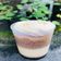 Cooksnap của Lê Hồ khi họ làm theo món Bánh gato flan