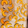 HueiPing Liu 的 「甜烤南瓜」四季都能做的甜點 cooksnap
