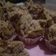 Cooksnap dari selvy diani untuk resep Bolu kukus pisang mekar