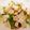 Maman jaafar(khairan)'s cooksnap of when they made Fattoush salad.