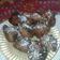 El cooksnap de mariangelescastro2012 cuando hizo Buñuelos dulces.