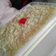 Cooksnap dari Rahmiathy untuk resep Puding susu keju