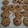 El cooksnap de cslemen cuando hizo Cookies de avena y arandanos.