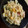 El cooksnap de Cayetana cuando hizo Ensala de pasta de colores.