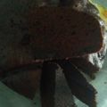 Cooksnap dari Fahima Ayasya untuk resep Brownis kukus super lembut nyoklat (Brownis Amanda KW)
