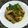 Cooksnap dari R Safitri untuk resep Ayam lado mudo / ayam cabe hijau