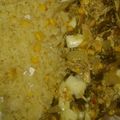 El cooksnap de Anny Hernández cuando hizo Rajas con crema y pollo.