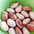 Cooksnap của Huyen le Tran khi họ làm theo món Hạt mít luộc chấm muối ớt