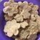 El cooksnap de Mariana Flores cuando hizo Crackers con semillas (galletitas integrales aptas veganos).