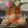 Harsha Gohil's cooksnap of when they made ચૂરમા ના લાડુ (Churma Ladoo Recipe In Gujarati).