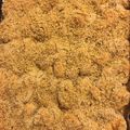 Krisztina Papp Cooksnap-ja, amikor elkészítette a(z) Extra diós aranygaluska, ahogy mi szeretjük receptet.