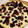 El cooksnap de Marcelo cuando hizo Cheesecake de vainilla.