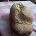 El cooksnap de Valeria cuando hizo Pan sin gluten en panificadora Moulinex.