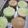Cooksnap dari Anna Melisa untuk resep Bolu Kukus Pandan Moka