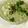 Lakshmi Sridharan Ph D's cooksnap of when they made Mullangi Chutney# Radish Chutney# Mooli Chutney.