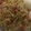 nafisa's cooksnap of when they made Danwake.