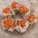Cooksnap dari Odilia Yelly Ondy untuk resep Siomay Babi Chinese