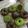 Cooksnap dari Selfiana Fiana Ana untuk resep Donat Menul #tanpaULEN #tanpaTELUR