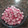 El cooksnap de reposteramary cuando hizo Malvaviscos, Nubes o Marshmallows 😍❤😋 Caseritos.