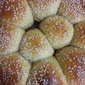 صورة من ام عبداللـه۫ہ ، شاركها بعد تجربة وصفة خليه النحل