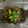 รูป Cooksnap ของ Mo Sorasak เมื่อเขาทำ เห็ดหอมสดคั่ว