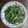 Hema Wane's cooksnap of when they made चवळी पालेभाजी (chawli palebhaji recipe in marathi).