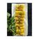 Kajal Solanki's cooksnap of when they made ખાંડવી (Khandvi Recipe In Gujarati).