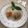 Cooksnap của Thanhh Longg khi họ làm theo món Bánh bột lọc chay