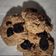 El cooksnap de Iara_1212 cuando hizo Galletas de avena.