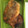 El cooksnap de karei cuando hizo Chiles rellenos de queso.
