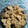 El cooksnap de Yohana Marquez cuando hizo Galletitas de naranja.