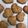 鄭育旻 的 第一次嘗試の奶油餅乾 cooksnap