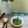 ÝTumpa Bose's cooksnap of when they made কাঁচা কলার খোসা বাটা (kanchakolar khosa bata recipe in Bengali).